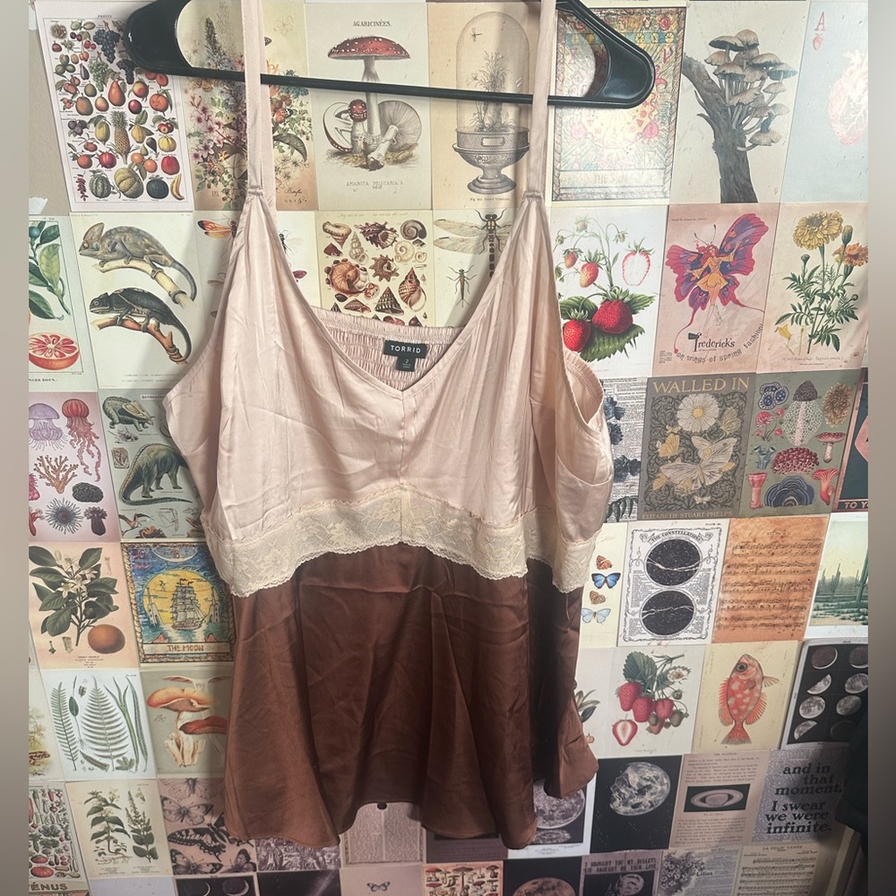 Size 2 two tone silk camisole. Perfect condition. Torrid